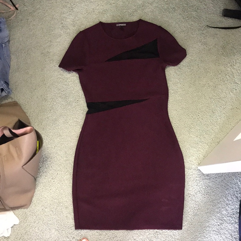 Bodycon Express Dress